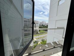 Blk 533 Hougang Avenue 6 (Hougang), HDB Executive #558025071